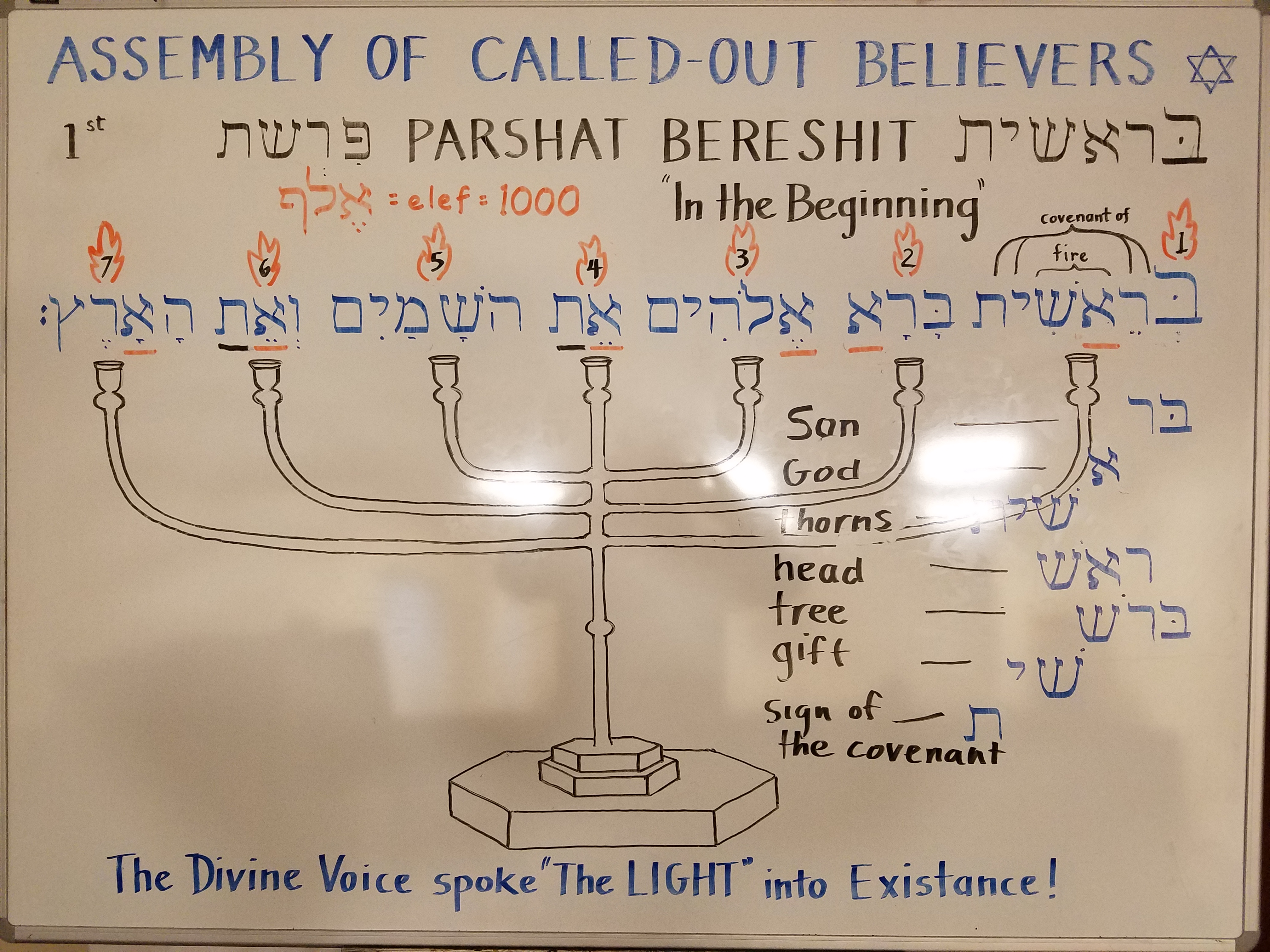 Torah Parashah Bereshit And Haftarah Video Studies